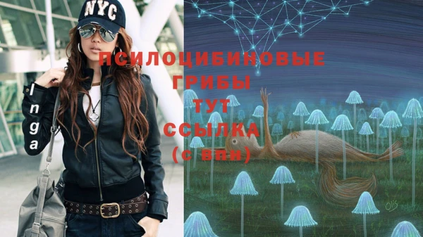 прущая мука Инсар