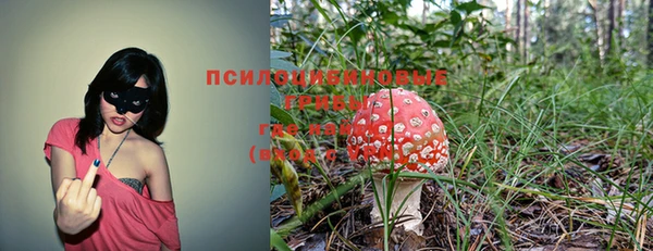прущая мука Инсар