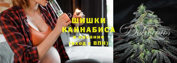 прущая мука Инсар