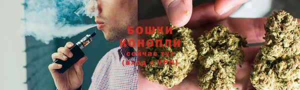 прущая мука Инсар