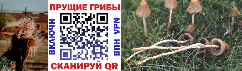 ссылка на мегу зеркало  Искитим  Галлюциногенные грибы мицелий  где купить наркоту 