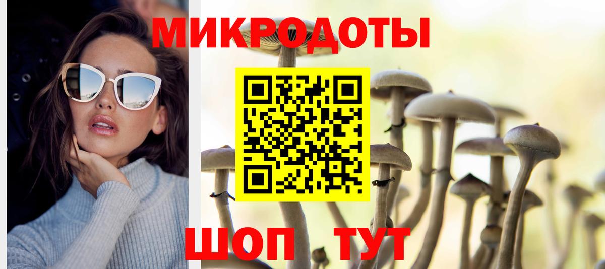 Псилоцибиновые грибы Psilocybe  Вход с VPN  Искитим 