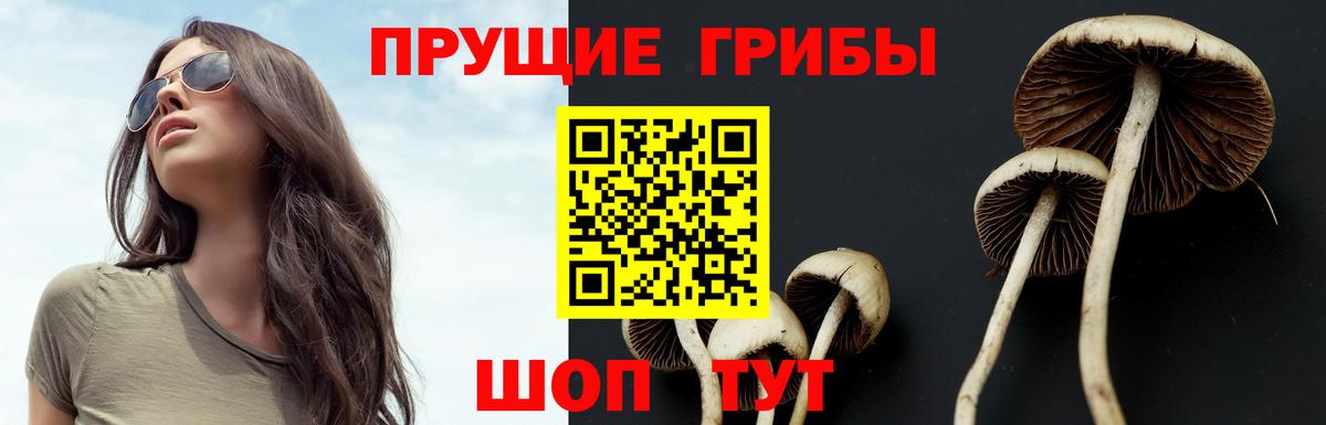 Галлюциногенные грибы мухоморы Искитим
