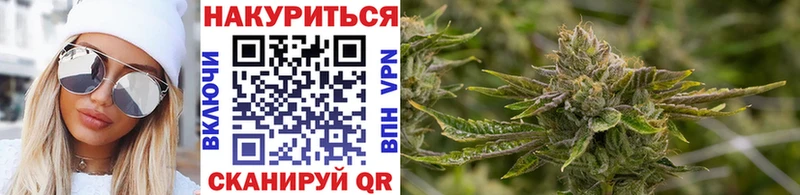 Каннабис гибрид Искитим
